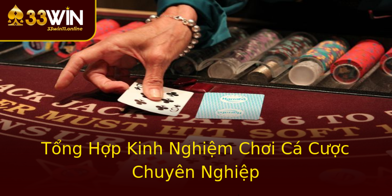 Tổng Hợp Kinh Nghiệm Chơi Cá Cược Chuyên Nghiệp
